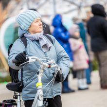 Rotušės aikštėje paskutines dienas skaičiuojanti Kalėdų eglė sulaukė ir kauniečių, ir svečių dėmesio