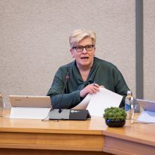 Premjerė su politikais, verslu aptars gynybos finansavimo alternatyvas, siūlymai – vėliau