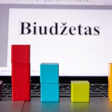 Kitą savaitę 2024 metų valstybės biudžetą Seimas svarstys du kartus