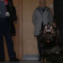 Viename Vilniaus daugiabučių – drama dėl lifto: gyventojai pasipiktinę 
