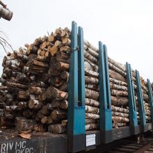 Tyrimas: baltarusiška mediena toliau patenka į Lietuvą ir visą ES