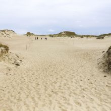 Palangos kopose – kraupus radinys: aptiko lavoną