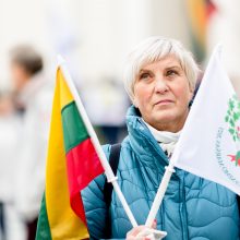 Iki tūkstančio žmonių dalyvavo šeimų sąjūdžio mitinge: siekiame, kad nebūtų laužoma Konstitucija