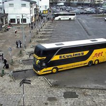 Panevėžio stotyje autobusas mirtinai partrenkė senolį: policija ieško mačiusiųjų