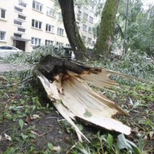 Dėl smarkaus vėjo ugniagesiai keliasdešimt kartų vyko šalinti nuvirtusių medžių