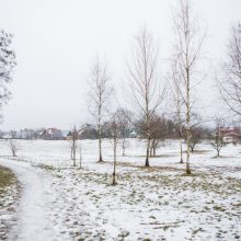 Apšepusią teritoriją pavertė žaidimų parku