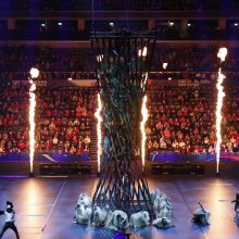 Auditorija: varžybų atidarymo ceremoniją Budapešte bei vengrų ir olandų rungtynes stebėjo per 20 tūkst. sporto aistruolių.