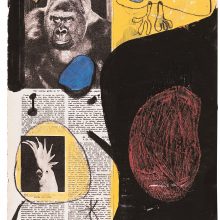 Gorila, papūga ir angelas rojaus soduose“, iš parodos „Joan Fontcuberta: Istorijos krizė“