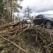 Stiprus vėjas siautėja Lietuvoje: varto medžius, jachtas ir šviesoforus