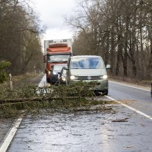 Ugniagesiai jau gavo apie 30 pranešimų apie nuvirtusius medžius