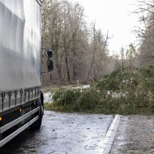 Ugniagesiai jau gavo apie 30 pranešimų apie nuvirtusius medžius