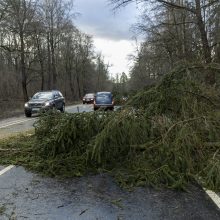 Siaučiant vėjui ugniagesiai dirbo be pertraukos, sulaukė 250 iškvietimų