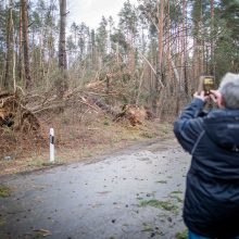 Vėjas laužo medžius, kelia biotualetus ir stendus, 20 tūkst. vartotojų – be elektros