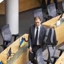 V. Gapšys kreipsis į LAT su prašymu stabdyti bausmės vykdymą, jei Seimas paliks mandatą