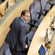Žinios iš Seimo: V. Gapšys išsaugojo mandatą