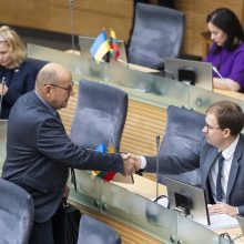 V. Gapšys kreipsis į LAT su prašymu stabdyti bausmės vykdymą, jei Seimas paliks mandatą