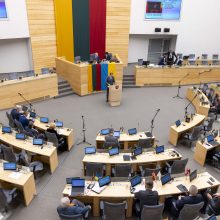 V. Gapšys kreipsis į LAT su prašymu stabdyti bausmės vykdymą, jei Seimas paliks mandatą