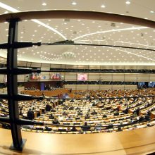 Jau gali būti steigiami komitetai, ketinantys dalyvauti Europos Parlamento rinkimuose