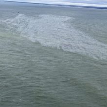 Aplinkosaugininkai pradėjo „Orlen Lietuvos“ patikrinimą dėl į jūrą išsiliejusios naftos