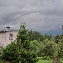 Dėl audros sukeltų padarinių Panevėžio rajono savivaldybė skelbia ekstremalią situaciją