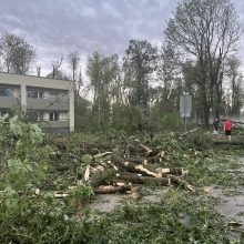 Audra smogė Žagarei: užvirtus medžiui žuvo moteris