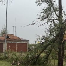 Audra smogė Žagarei: užvirtus medžiui žuvo moteris