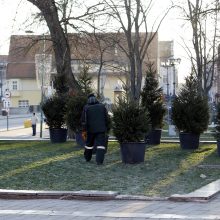 Klaipėda toliau ruošiasi šventėms: Atgimimo aikštę papuoš eglutės