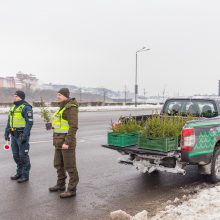 Vairuotojams – dovanos: miškininkai su policijos pareigūnais dalijo eglutes