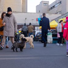 Į Kauno turgavietes – ir maisto, ir vaisto