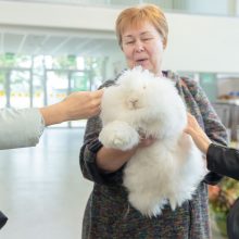 Žemės ūkio parodoje – ir reti gyvūnai, ir ekologijos dvelksmas