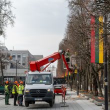 Laisvės alėjoje kertamos liepos traukia praeivių dėmesį