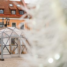 Rotušės aikštėje pabiro plunksnomis, kurias išbarstė virš miesto praskridęs angelas 