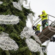 Rotušės aikštėje pabiro plunksnomis, kurias išbarstė virš miesto praskridęs angelas 