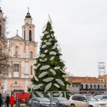 Rotušės aikštėje pabiro plunksnomis, kurias išbarstė virš miesto praskridęs angelas 