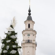 Kauno eglė jau pasirodė visu gražumu: ką mano miestiečiai?