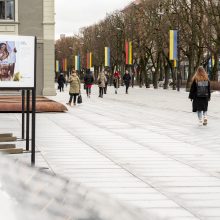 Kaunas siunčia palaikymo žinutę Ukrainai: artėjant karo metinėms Laisvės alėjoje suplazdėjo vėliavos