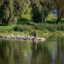 Istorinė diena: atidarytas vandens kelias Nemunu nuo Kauno iki Kuršių marių