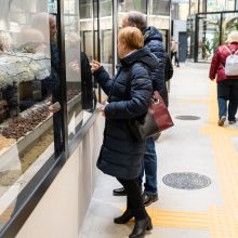 Pirmųjų Zoologijos sodo lankytojų įspūdžiai: gražu, tvarkinga, akį traukia egzotiniai gyvūnai