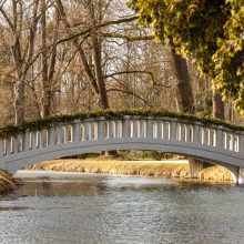 Į VDU Botanikos sodą – tropinių drugių