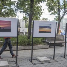 M. Patašiaus fotografijų paroda Laisvės alėjoje