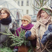 Kasmetinė akcija: miškininkai dovanojo kalėdines eglių šakas