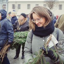 Kasmetinė akcija: miškininkai dovanojo kalėdines eglių šakas