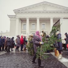 Kasmetinė akcija: miškininkai dovanojo kalėdines eglių šakas