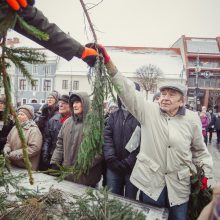 Kasmetinė akcija: miškininkai dovanojo kalėdines eglių šakas