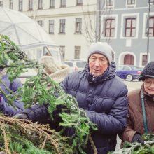 Kasmetinė akcija: miškininkai dovanojo kalėdines eglių šakas