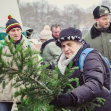 Kasmetinė akcija: miškininkai dovanojo kalėdines eglių šakas