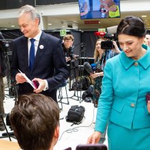 Žvalgyba: Rusija nesikišo į Lietuvos prezidento rinkimus