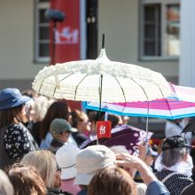 Prezidento inauguracijos koncertas: pasirodė atlikėjai iš skirtingų apskričių