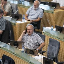 Seimas skubos tvarka spręs dėl Senelių dienos