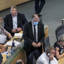 Seimas skubos tvarka spręs dėl Senelių dienos